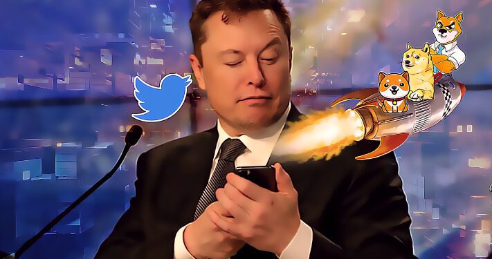 Dog Meme Coins Surge Has Elon Musk Sparked a Battle Royale