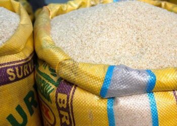 Processed Rice in Bags