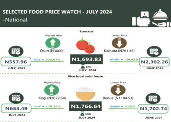 Food Prices in Nigeria Soar in July 2024