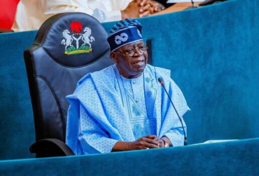 Tinubu economic reforms
