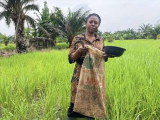 Nigeria agricultural crisis