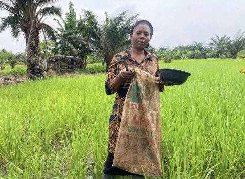 Nigeria agricultural crisis