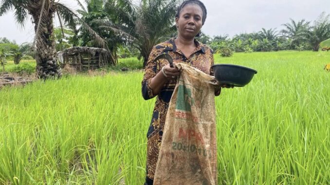 Nigeria agricultural crisis